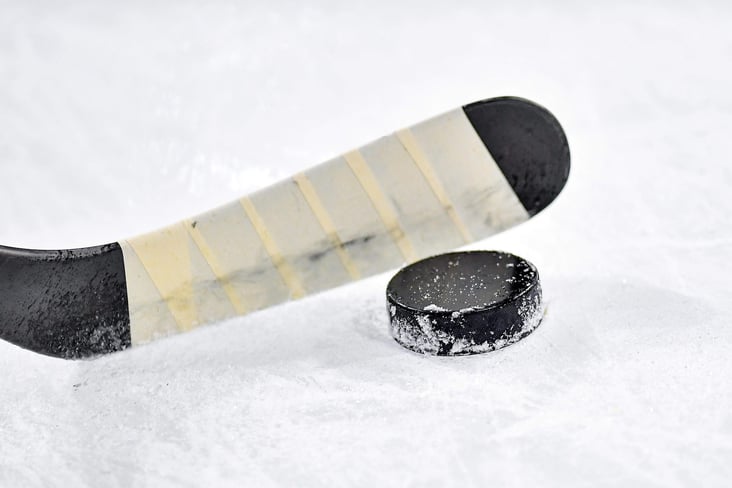 Miltä näytti sähkövuosi 2019 Suomen voittaessa jääkiekon MM-kultaa?